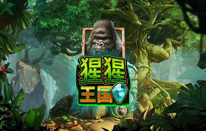 疯狂体育官网入口网址